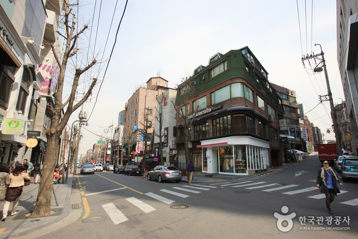 Sinsadong Garosu-gil Road (신사동 가로수길)