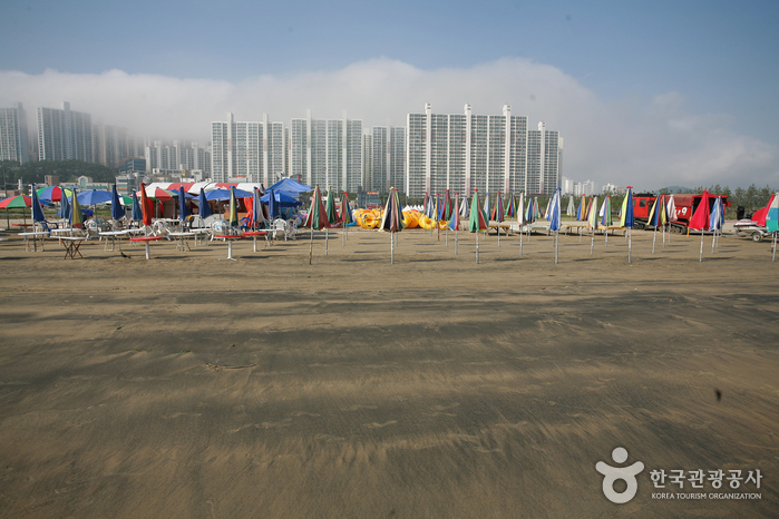 Dadaepo Beach (다대포해수욕장)