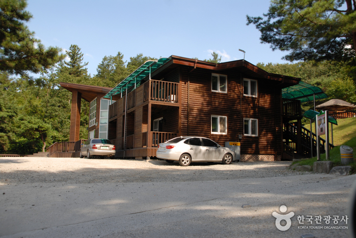 Bosque Recreativo Geumgang (Arboreto Geumgang, Museo Forestal) (금강자연휴양림(금강수목원,산림박물관))