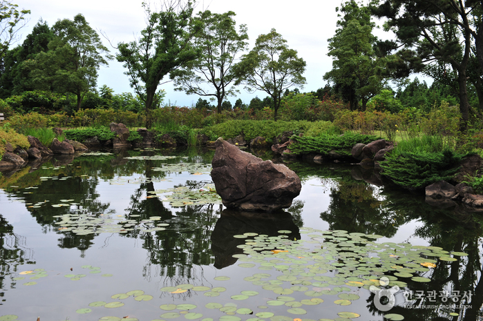 Hueree Natural Park (휴애리 자연생활공원)