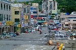 감포항_29