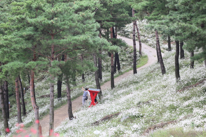 [최우수축제] 산청한방약초축제 2017 