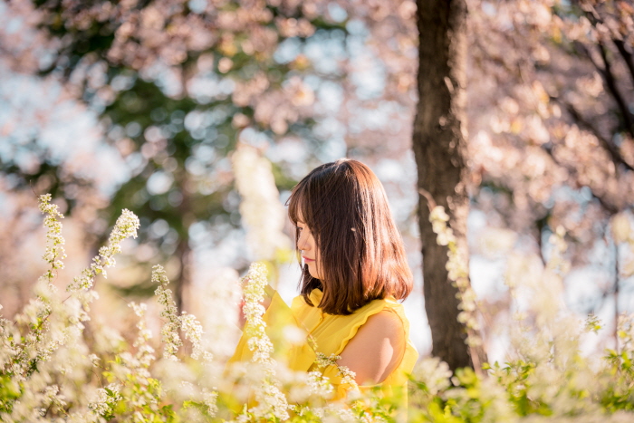 고양 트래블 패키지 20188