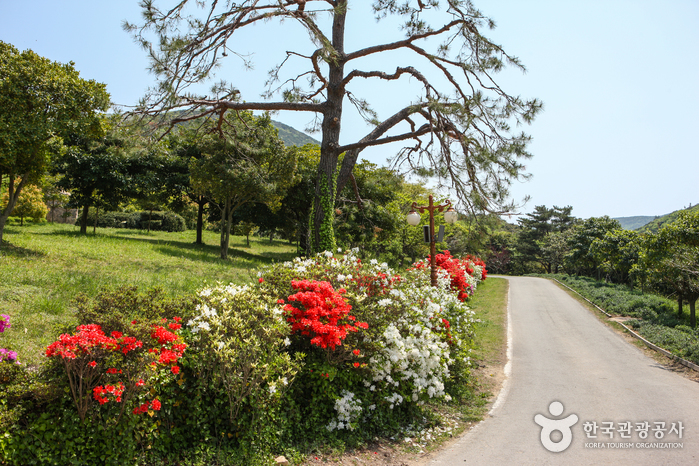 Arboretum de Wando (완도수목원)