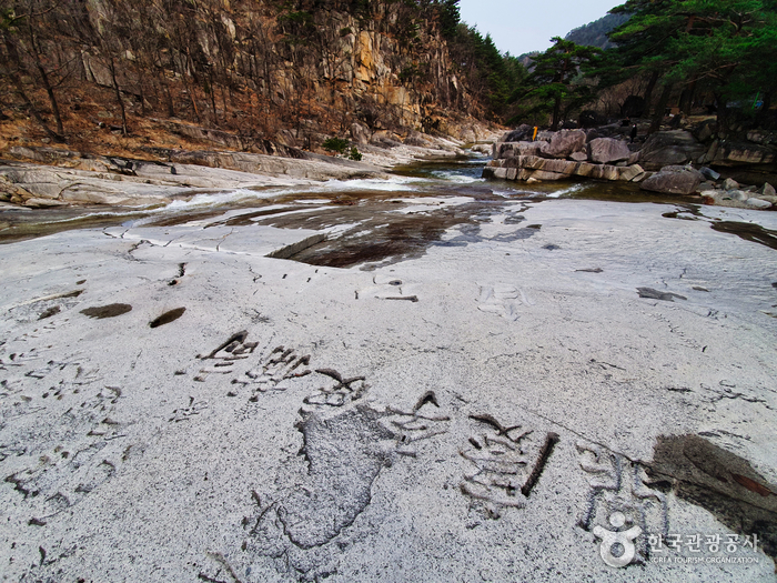 오대산 자연명상마을1