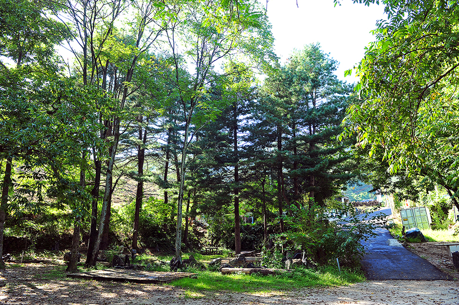 아프리카갤러리캠핑장2