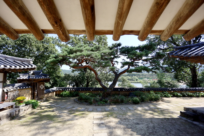 遠楽斎の居間から眺めたヒーリング風景