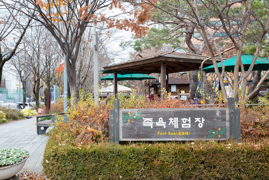 Fußbad Yuseong (유성족욕체험장)