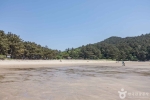 갈음이해수욕장 사진 12