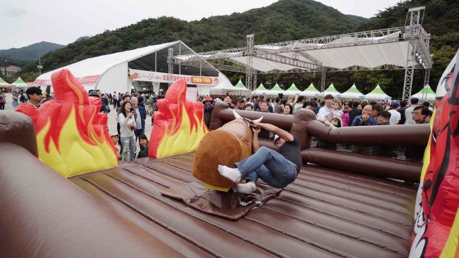 문경약돌한우축제