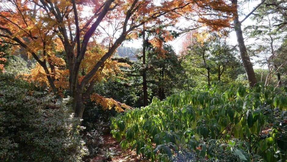 천리포수목원 가을축제