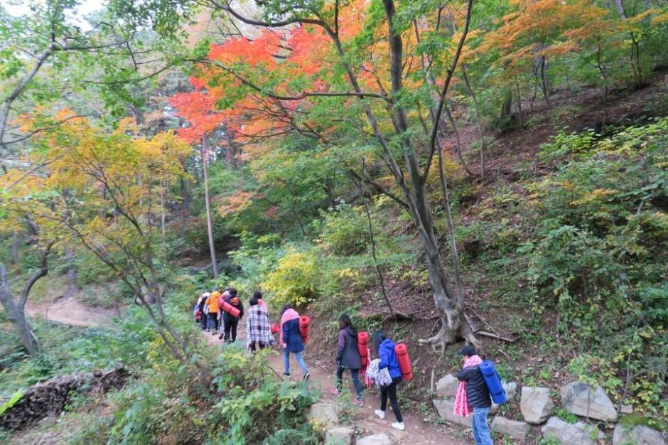국립대관령치유의숲