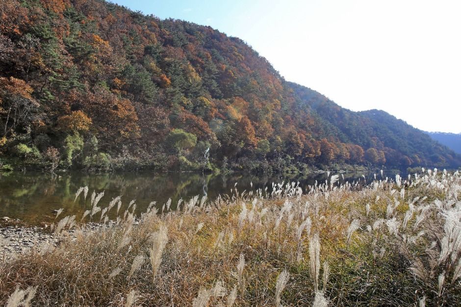 옥화9경