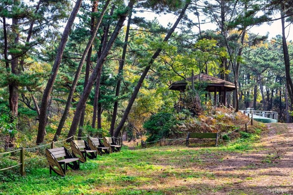 승봉산림욕장