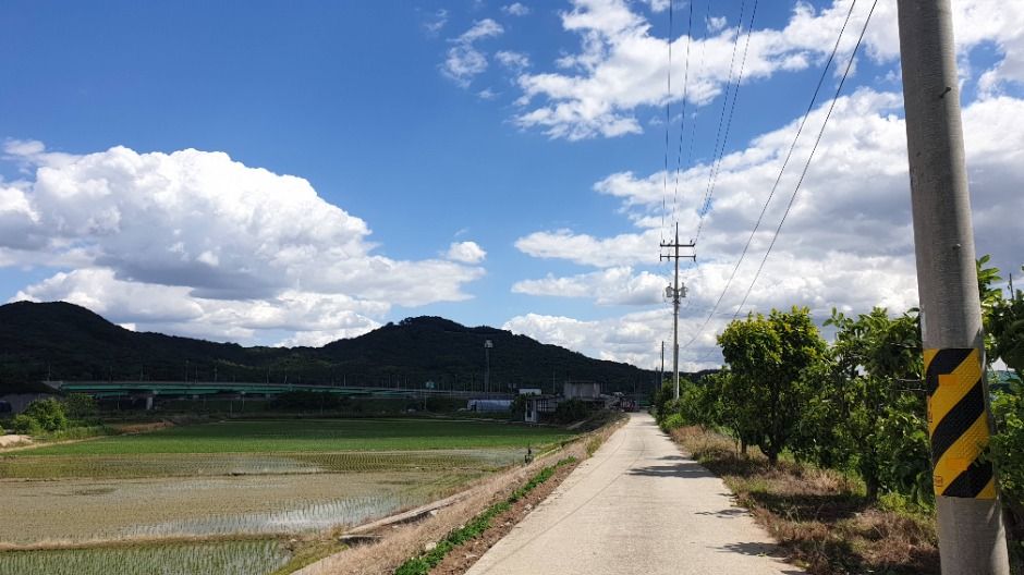 [경기옛길 삼남길 제6길] 화성효행길