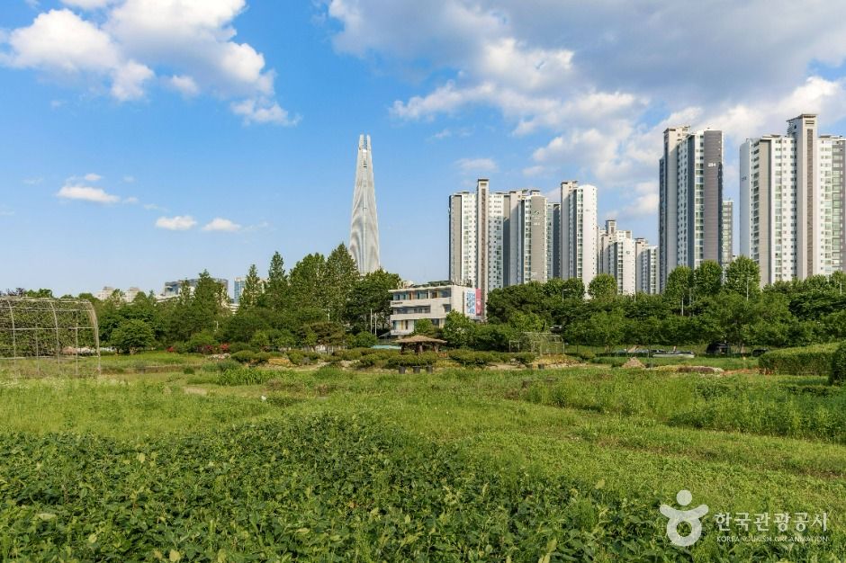 잠실한강공원