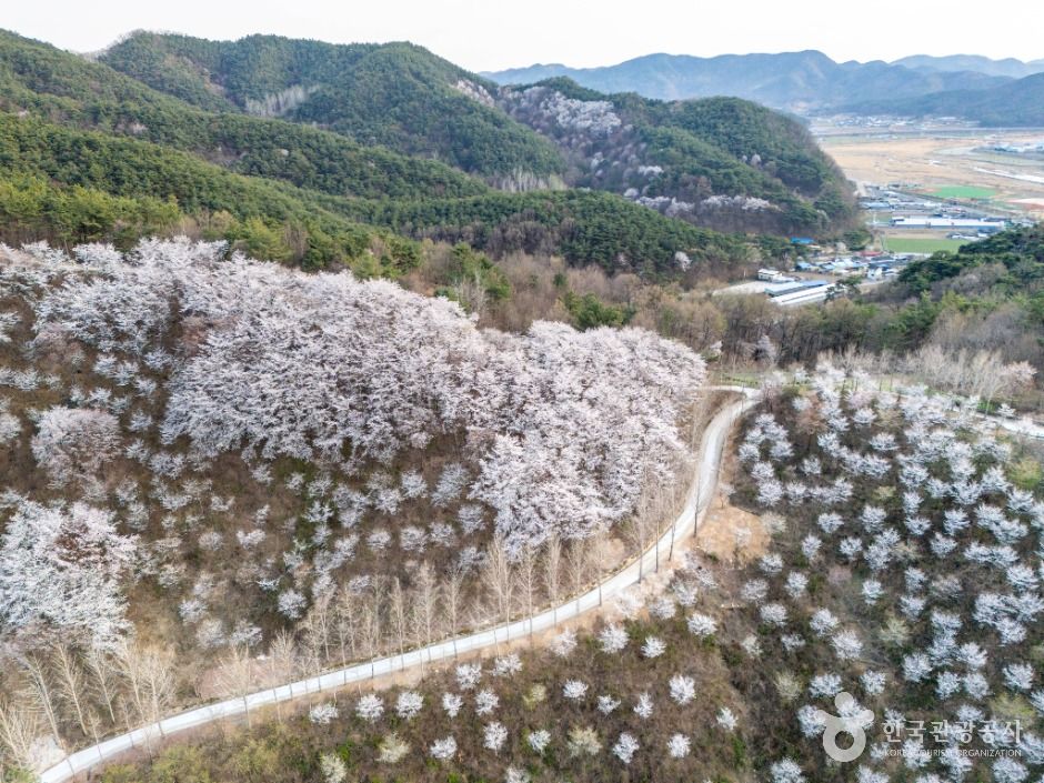 대가야수목원