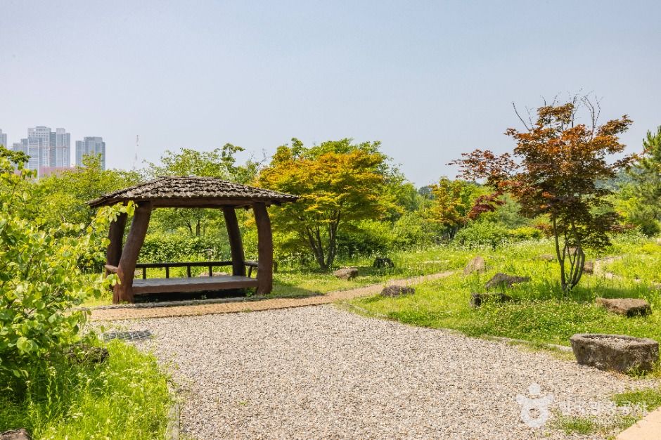 연희자연마당