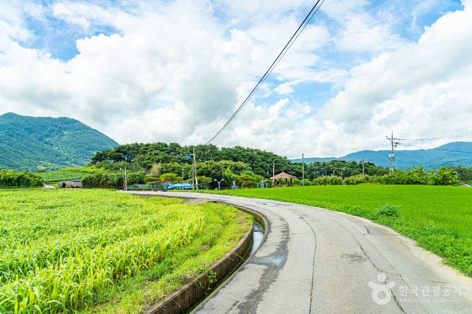 구례_용두마을 (5)