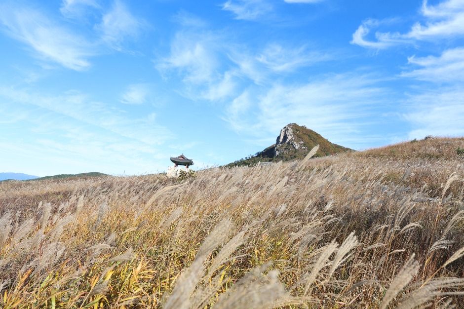 황매산(산청)