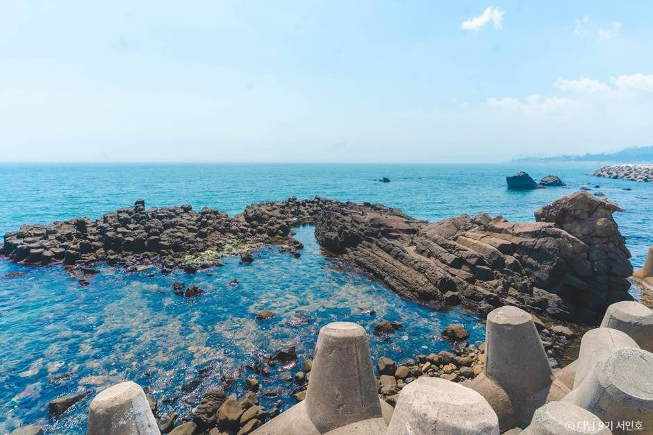 경주 바다 여행 가볼만한곳_읍천항_3-6