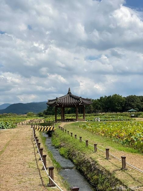 경주 서출지