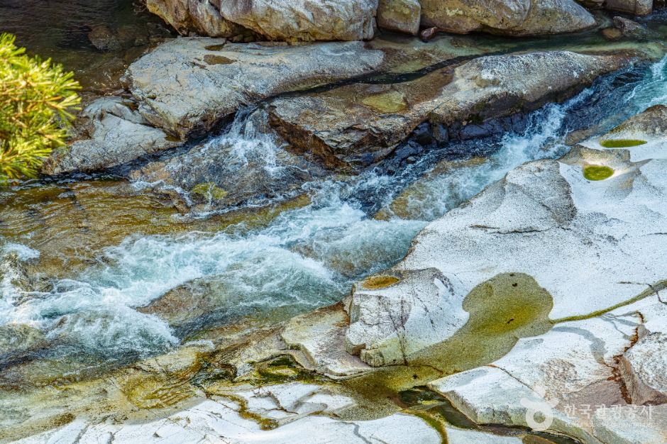 thumbnail-백암동천-8