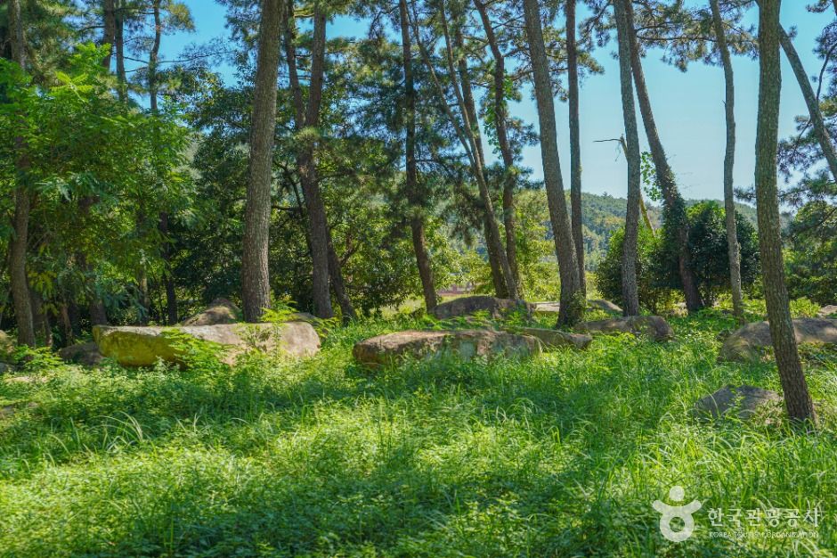 장흥 방촌리 지석묘군