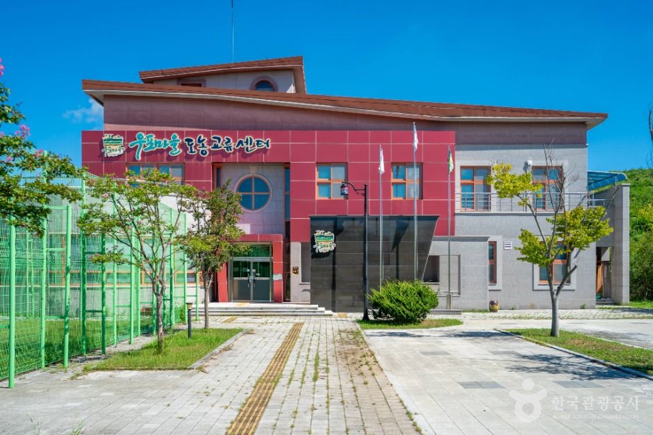 thumbnail-우포가시연꽃마을-3