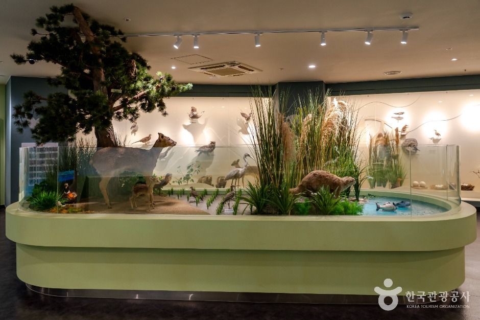 서천군 조류생태전시관