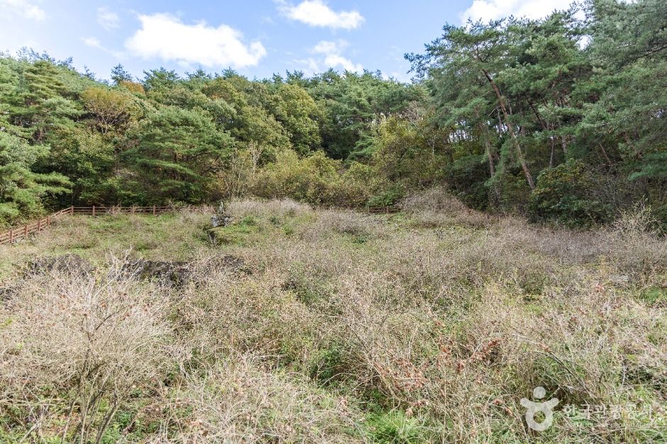 thumbnail-괴산 송덕리 미선나무 자생지-6