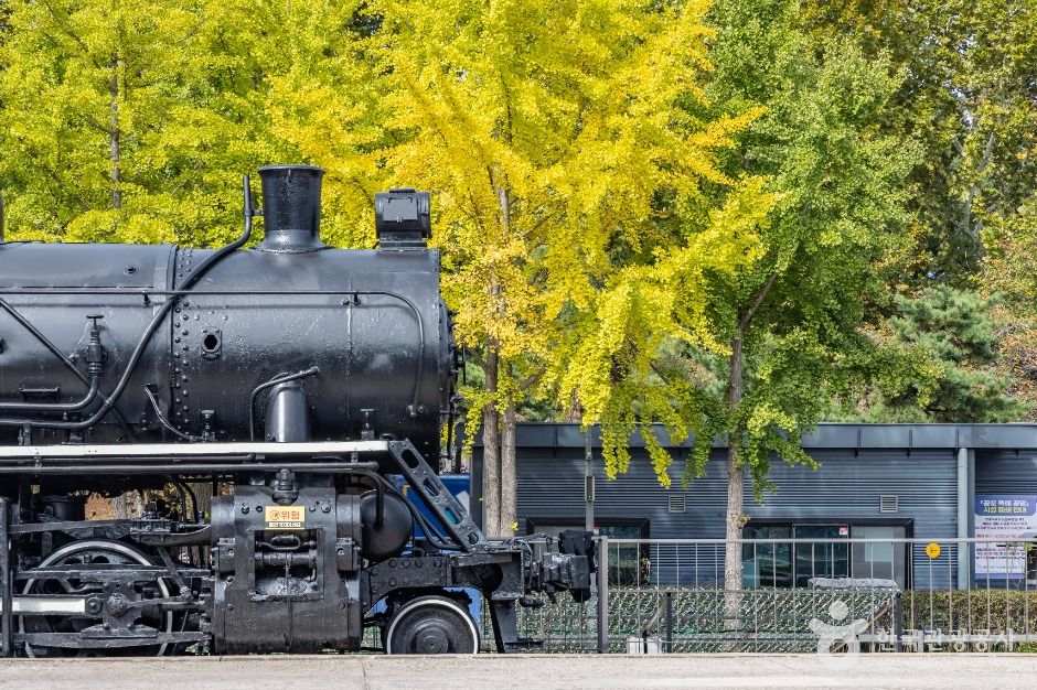 서울_화랑대 철도공원 (9)