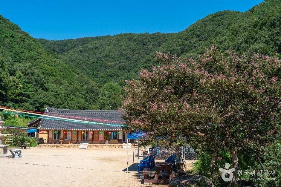 영천_거조사 (7)