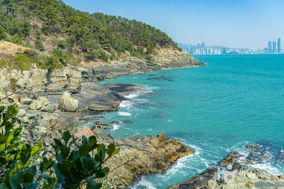 부산_[부산 갈맷길] 2코스 2구간 (3)