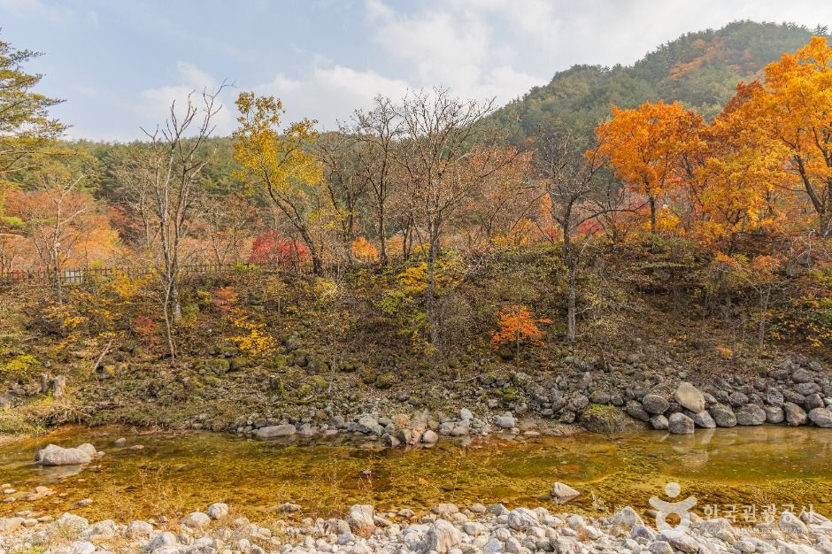 오대산 소금강계곡