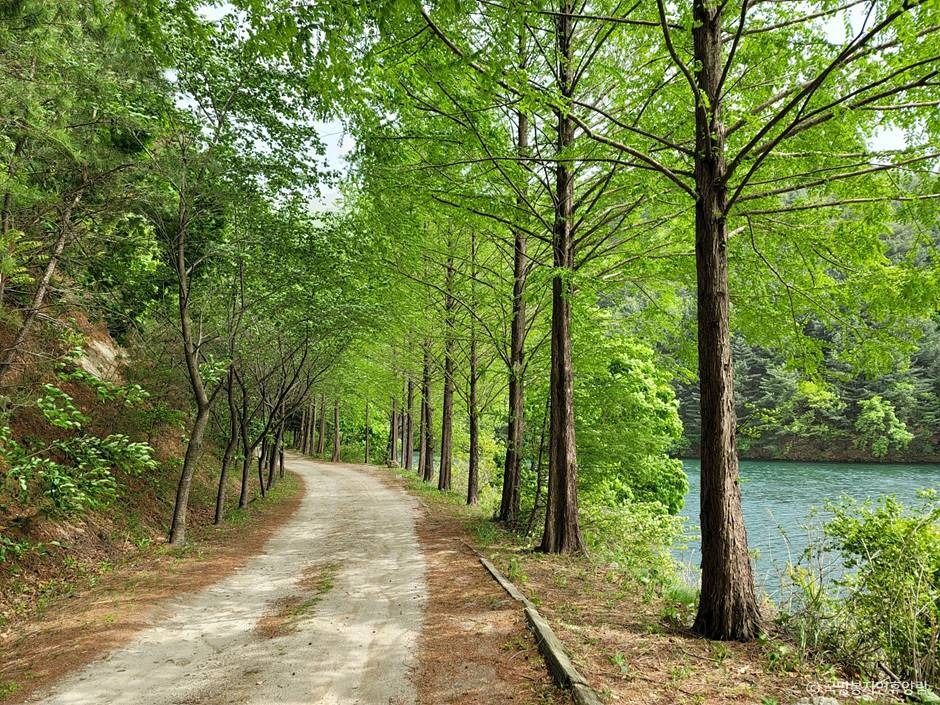 thumbnail-국망봉자연휴양림-7