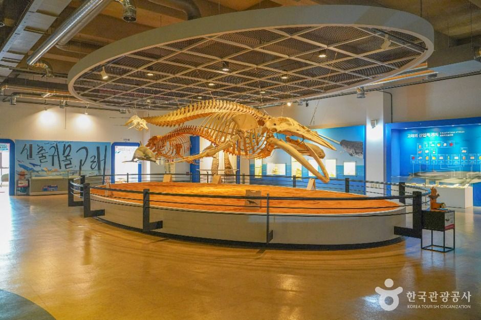 장생포 고래박물관