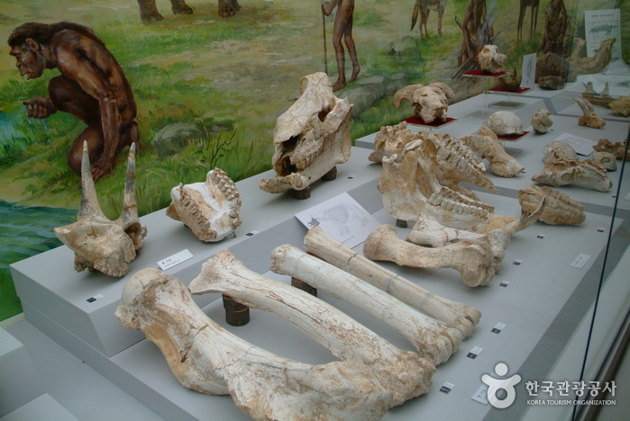 Archaeological Site in Seokjang-ri, Gongju (공주 석장리 유적)