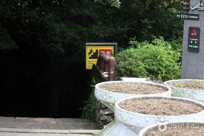 Manjanggul Cave [UNESCO World Heritage] (만장굴 [유네스코 세계자연유산])