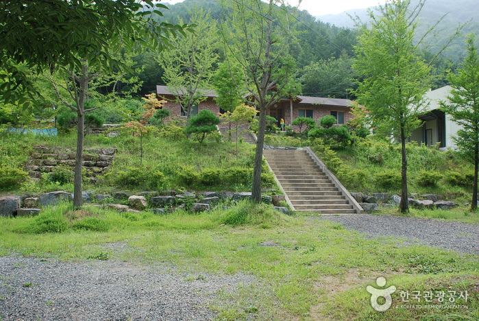 Jangnyeongsan Natural Forest (장령산자연휴양림)