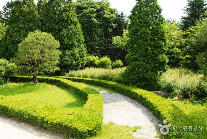 Korea National Arboretum and Forest Museum (국립수목원-구, 광릉수목원)