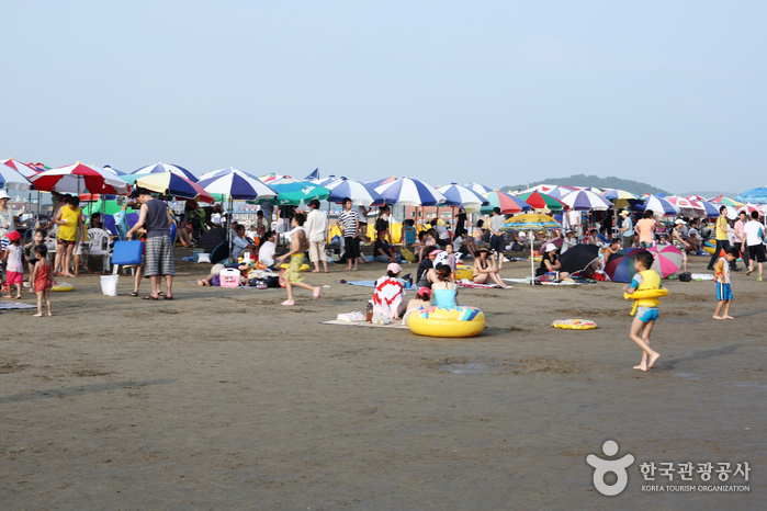 Dadaepo Beach (다대포해수욕장)