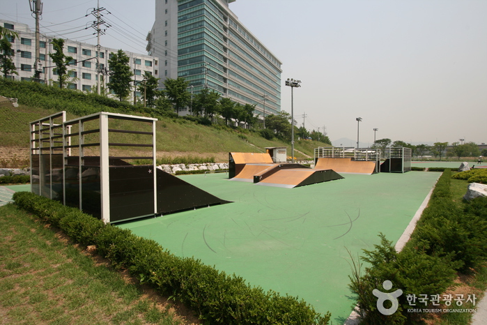 살곶이체육공원0