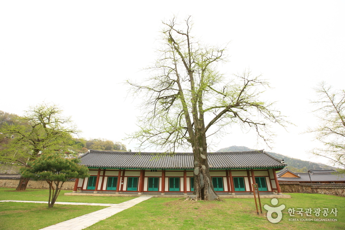 Jeonjuhyanggyo Confucian School (전주향교)