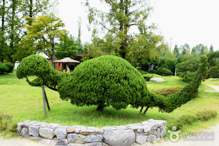 Mulhyanggi Arboretum (물향기수목원)