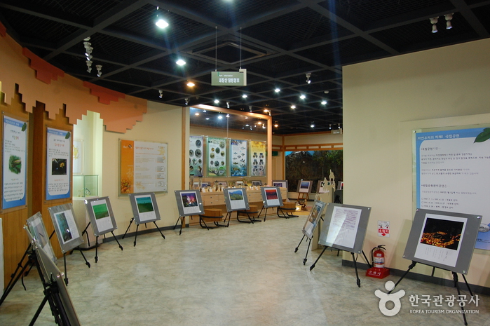 내장산국립공원 사진33