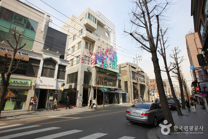 Sinsadong Garosu-gil Road (신사동 가로수길)