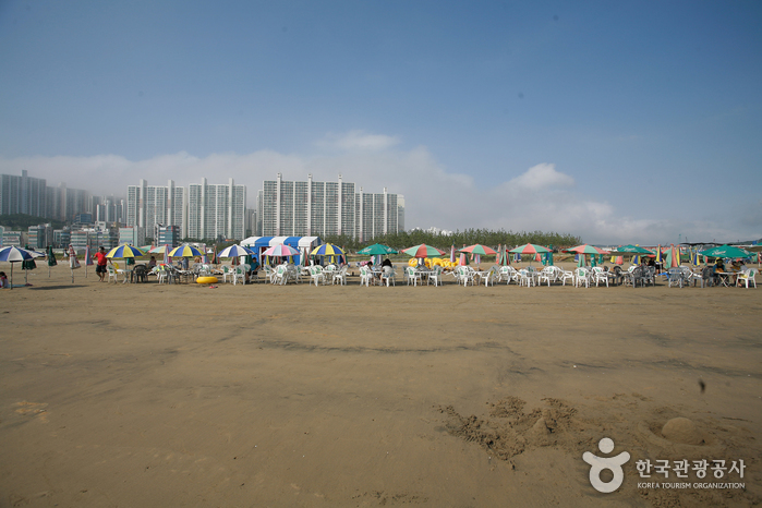 Dadaepo Beach (다대포해수욕장)
