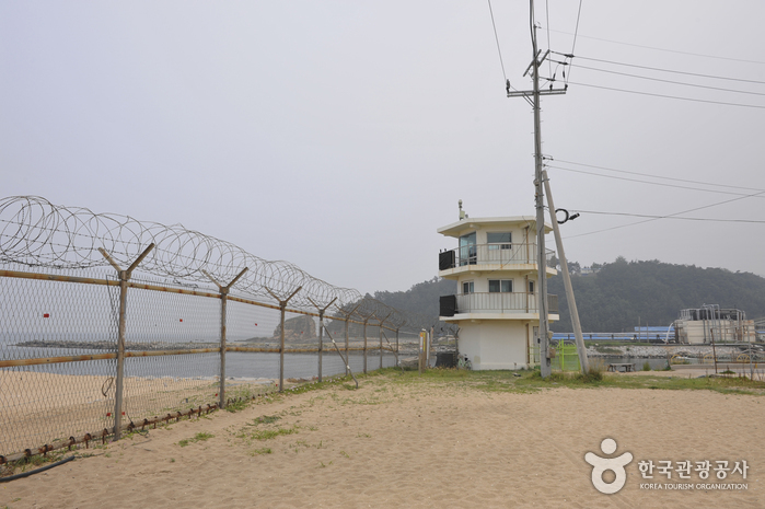 염전해변_2