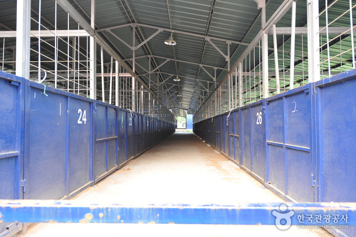 Estadio Mudeung de Gwangju (광주무등경기장)0